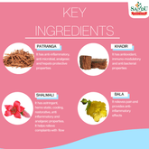 Sandu Ayurvedic Patrangasav Liquid 200ml